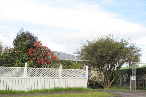 Photo of property in 24 Lysander Street, Stratford, 4332