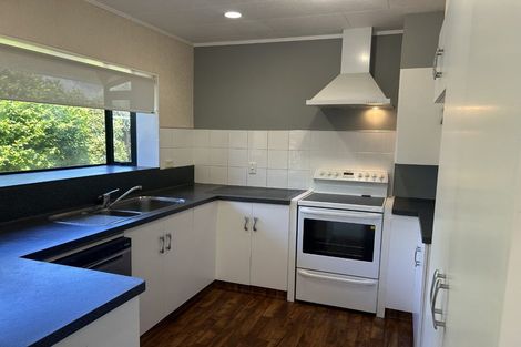 Photo of property in 49 Chelsea Avenue, Richmond, 7020