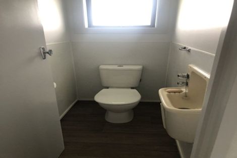 Photo of property in 214 Peacockes Road, Fitzroy, Hamilton, 3282