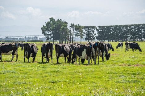 Photo of property in 282 Sharlands Road, Dunsandel, Rakaia, 7783