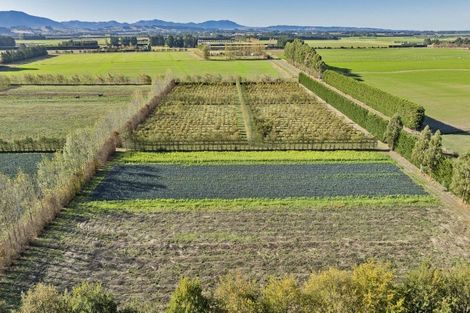 Photo of property in 581 Pesters Road, West Eyreton, 7475