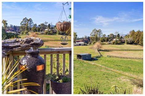 Photo of property in 439 Cambridge Road, Tauriko, Tauranga, 3110