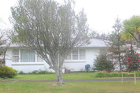 Photo of property in 36 Donny Avenue, Chartwell, Hamilton, 3210