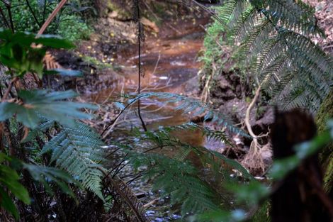 Photo of property in 63 Sunnyhills Avenue, Glenview, Hamilton, 3206