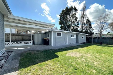 Photo of property in 17 Jedburgh Street, Tokoroa, 3420