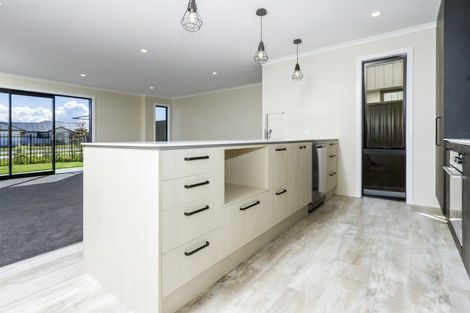 Photo of property in 52 Kahikatea Way, Appleby, Richmond, 7020