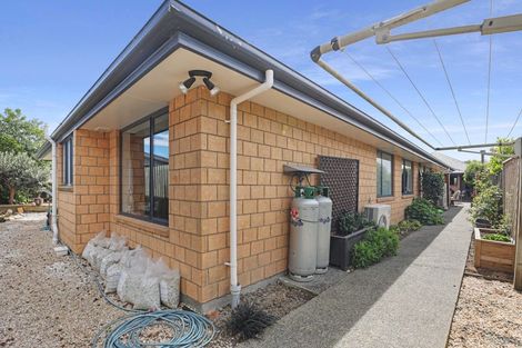 Photo of property in 8 Millibrook Place, Tinwald, Ashburton, 7700