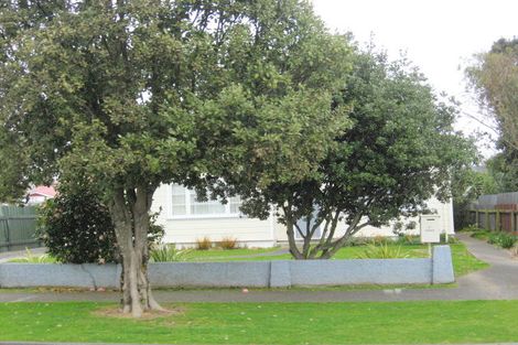 Photo of property in 27 Duke Street, Levin, 5510