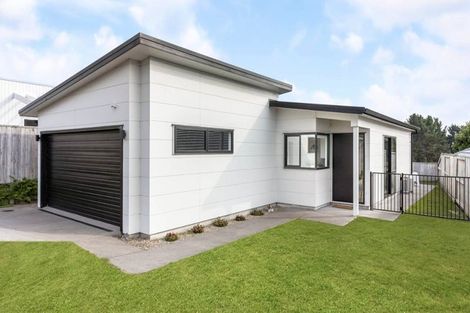 Photo of property in 48 Puhirake Crescent, Pyes Pa, Tauranga, 3112