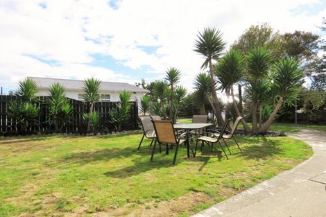 Photo of property in 79 Tiro Tiro Road, Levin, 5510