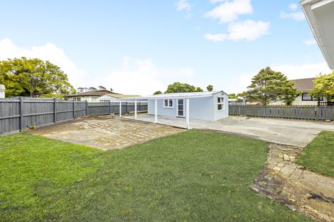 Photo of property in 133 Finlayson Avenue, Clendon Park, Auckland, 2103