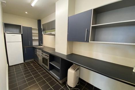 Photo of property in The Lofts, 185u7 Victoria Street, Te Aro, Wellington, 6011