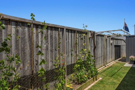 Photo of property in 15 Banksia Lane, Whakatane, 3120