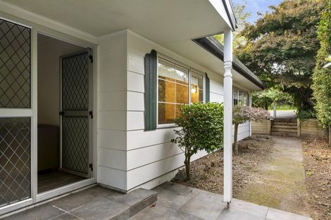 Photo of property in 132c Cameron Road, Te Puke, 3119