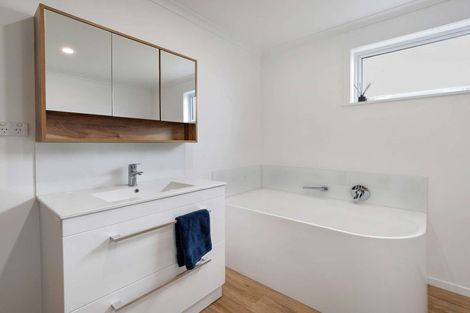 Photo of property in 113 Stanford Street North, Ashhurst, 4810