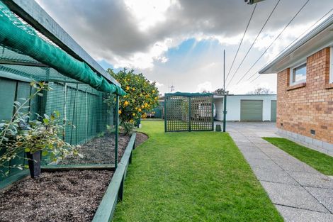 Photo of property in 49 Garden Heights Avenue, Glenview, Hamilton, 3206