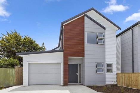 Photo of property in 35a Mitchell Street, Brooklyn, Wellington, 6021