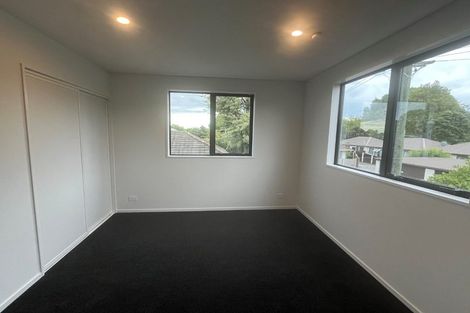 Photo of property in 13 Goldsmith Place, Waltham, Christchurch, 8023