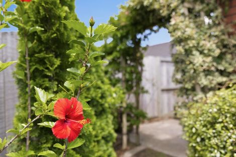 Photo of property in 6 Kahawai Close, Pyes Pa, Tauranga, 3112