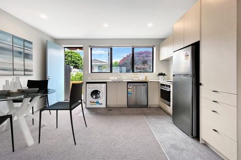 Photo of property in Aniva Terrace, 22 Ferguson Street, Newtown, Wellington, 6021