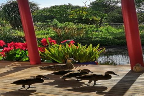 Photo of property in 106 Paetawa Road, Peka Peka, Waikanae, 5391