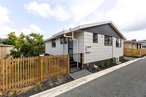 Photo of property in 215c Killarney Road, Frankton, Hamilton, 3204