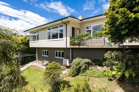 Photo of property in 47 Signal Hill Road, Opoho, Dunedin, 9010
