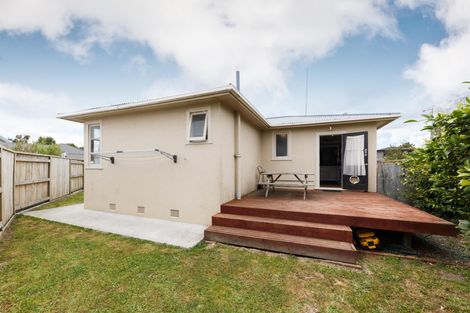 Photo of property in 21 Salisbury Avenue, Terrace End, Palmerston North, 4410