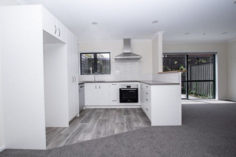 Photo of property in 3u5 Palmerston Street, Hamilton Central, Hamilton, 3204