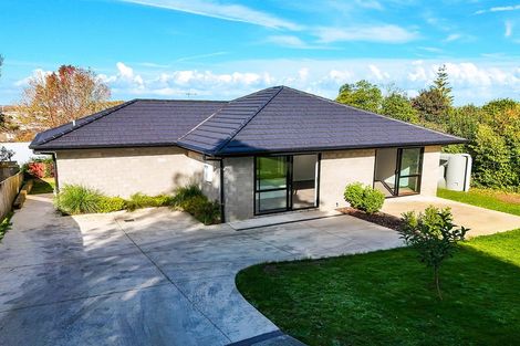 Photo of property in 99a Tuhikaramea Road, Dinsdale, Hamilton, 3204