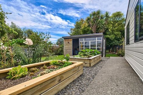 Photo of property in 31a Puriri Road, Waikanae, 5036