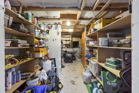 Photo of property in 39 Dinsdale Road, Dinsdale, Hamilton, 3204