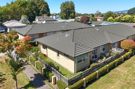 Photo of property in 4/4 Ann Street, Victoria, Rotorua, 3010