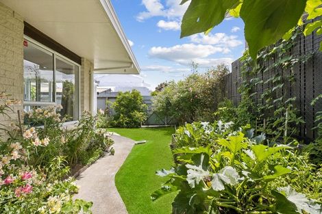 Photo of property in 9b Edinburgh Street, Pukekohe, 2120