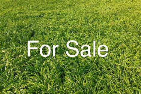 Photo of property in 8 Breeze Lane, Silverdale, 0932