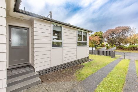 Photo of property in 17 Hinerangi Street, Turangi, 3334