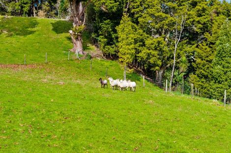 Photo of property in 50 Waitoki Road, Waitoki, Kaukapakapa, 0871