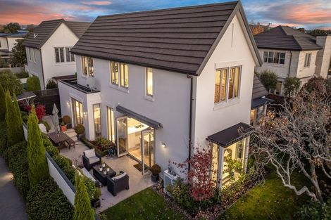 Photo of property in 42 Mcdougall Avenue, St Albans, Christchurch, 8014