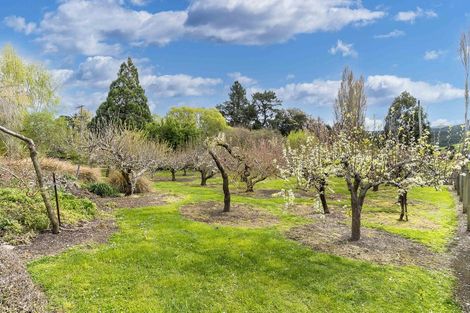 Photo of property in 16 Murphy Street, Dunback, Palmerston, 9483