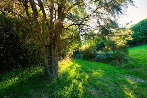 Photo of property in Mount Fyffe Road, Kaikoura Flat, Kaikoura, 7371