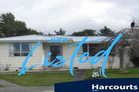 Photo of property in 49 Margaret Street, Solway, Masterton, 5810