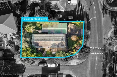 Photo of property in 12 Lendenfeld Drive, Papatoetoe, Auckland, 2025