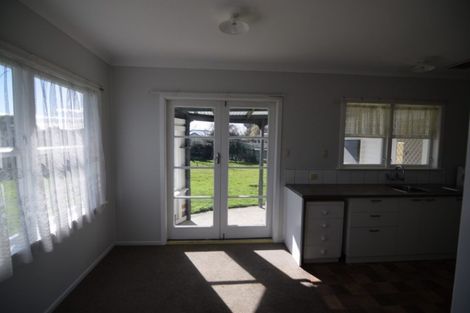 Photo of property in 20 Elizabeth Street, Levin, 5510