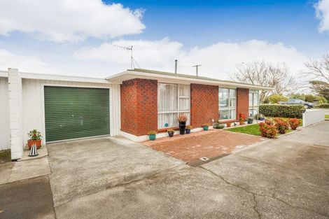 Photo of property in 153a Ruahine Street, Roslyn, Palmerston North, 4414