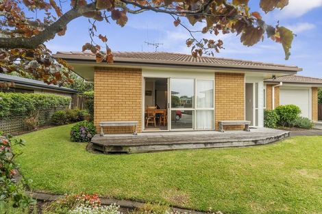Photo of property in 48b Emmett Street, Greerton, Tauranga, 3112