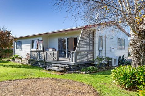 Photo of property in 41 Green Avenue, Levin, 5510