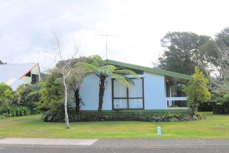 Photo of property in 102 Avalon Place, Whangamata, 3620