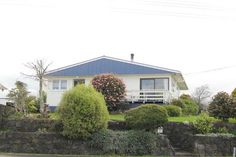 Photo of property in 25 Lysander Street, Stratford, 4332