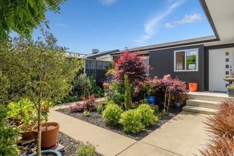 Photo of property in 11b Arundel Street, Tauranga, 3110