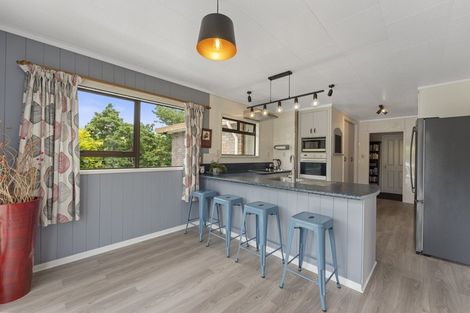 Photo of property in 13 Oswald Place, Stratford, 4332